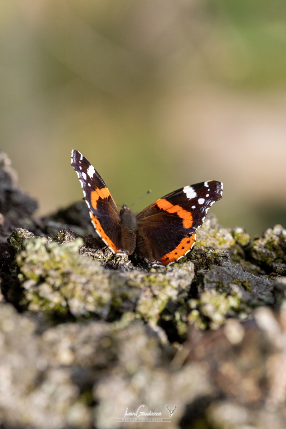 16 september 2023 122411  R2A2719